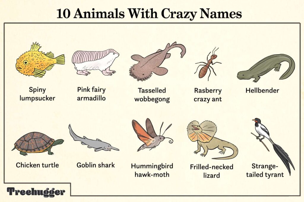 Cool Animals Names