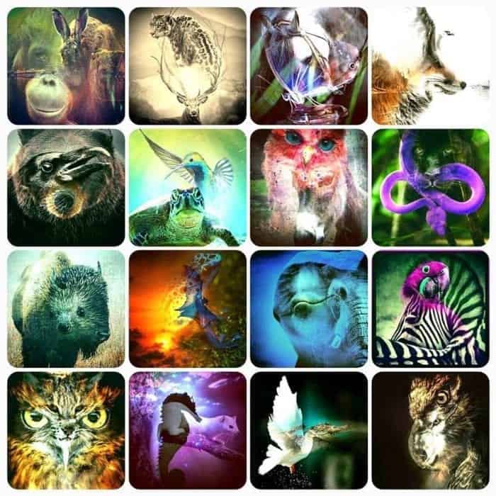 Cool Spirit Animals