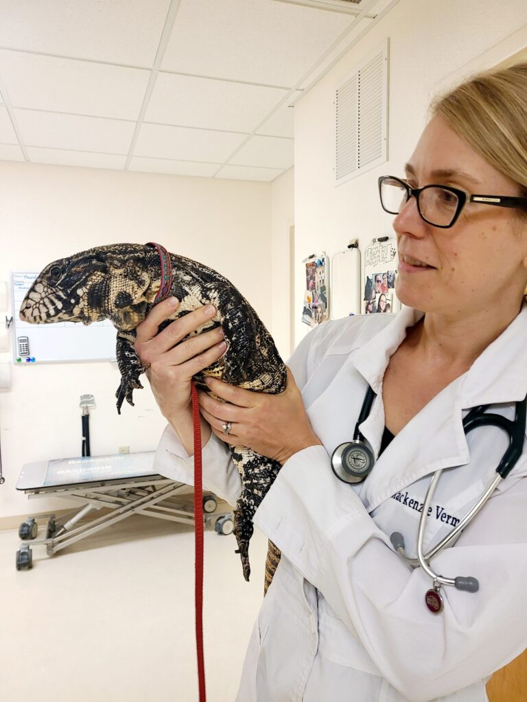 Exotic Pets Vet