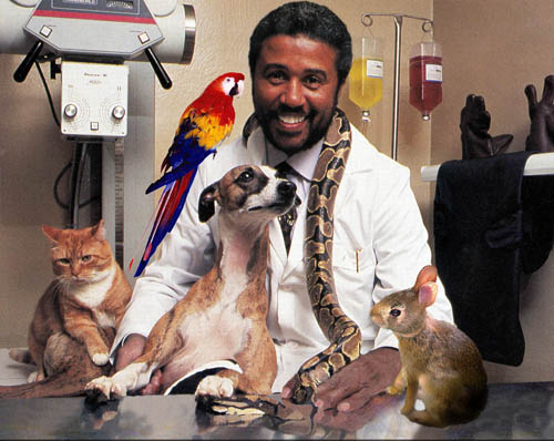 Exotic Pets Vet