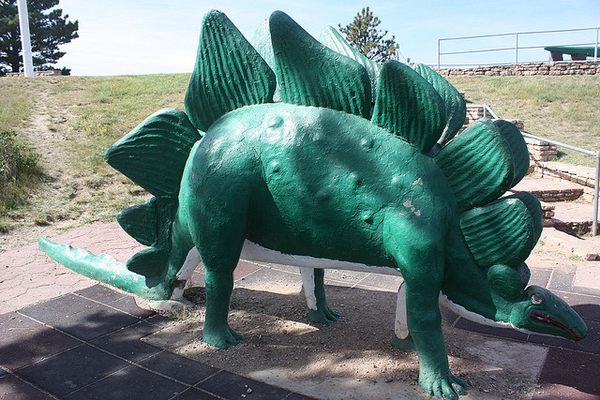 Strange Animals In South Dakota