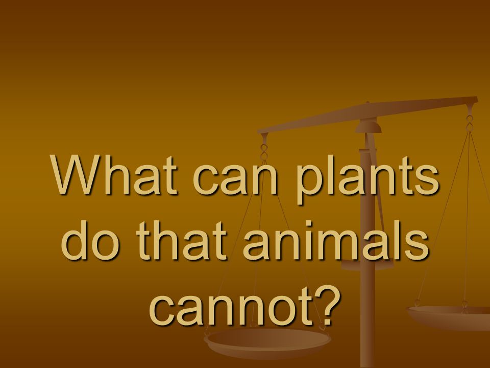 What Can Plants Do That Animals Cannot