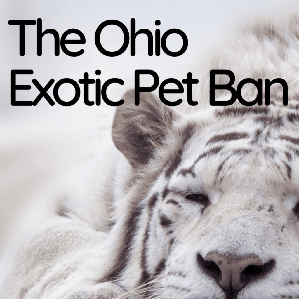 What Exotic Pets Are Legal In Ohio