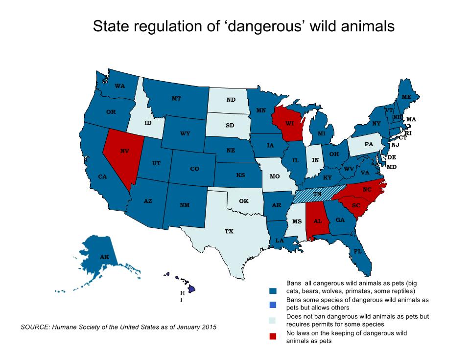 What Exotic Pets Are Legal In Wisconsin